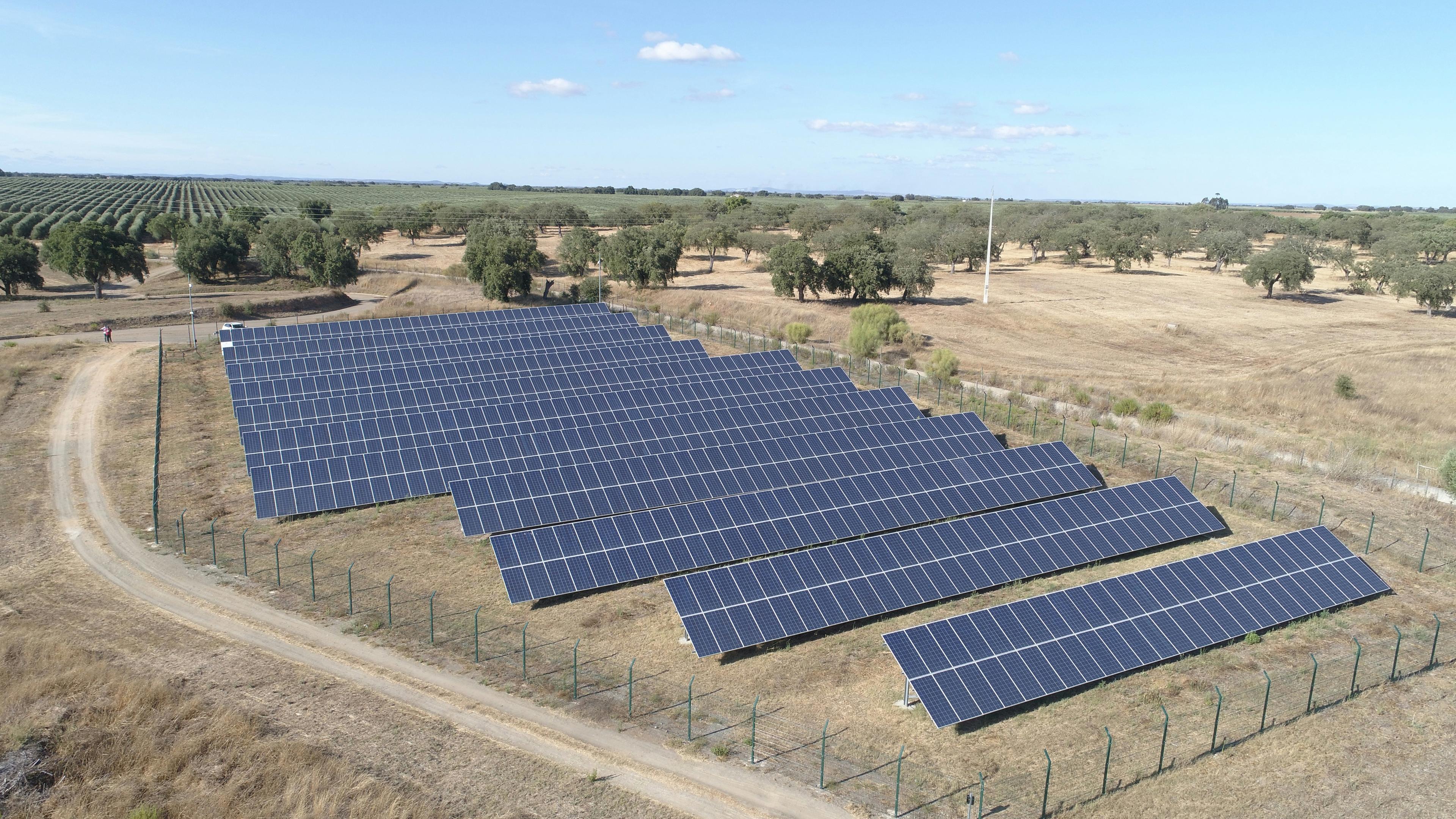 A ground-mounted solar installation across open land