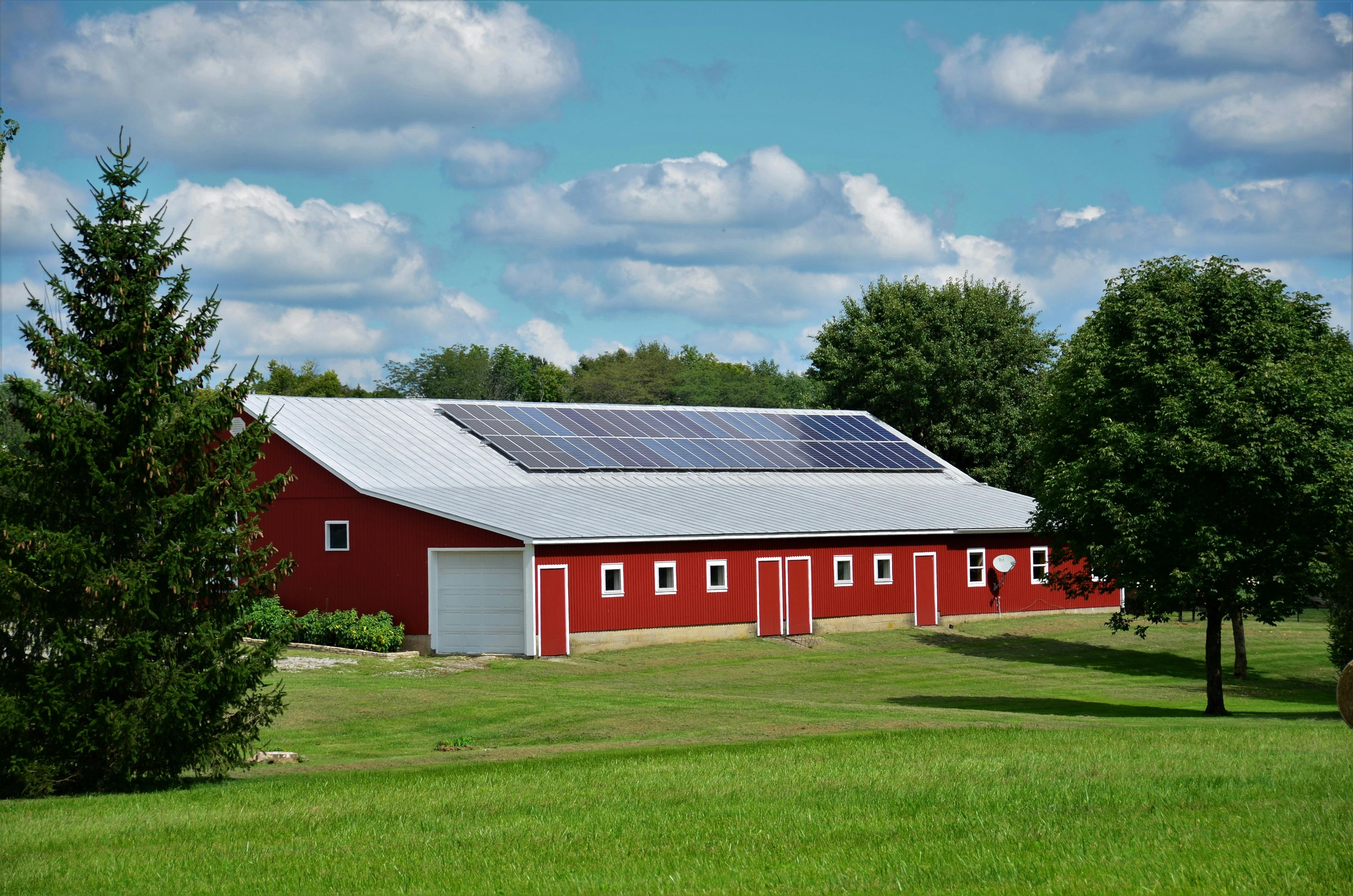 Solar panels arranged beside agricultural fields